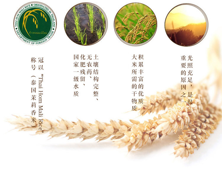 金百合 茉莉香米5kg/袋 家庭礼品装煲仔饭专用泰国米香味浓郁煮粥