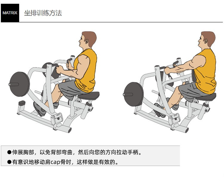 坐姿划船动作要领图片