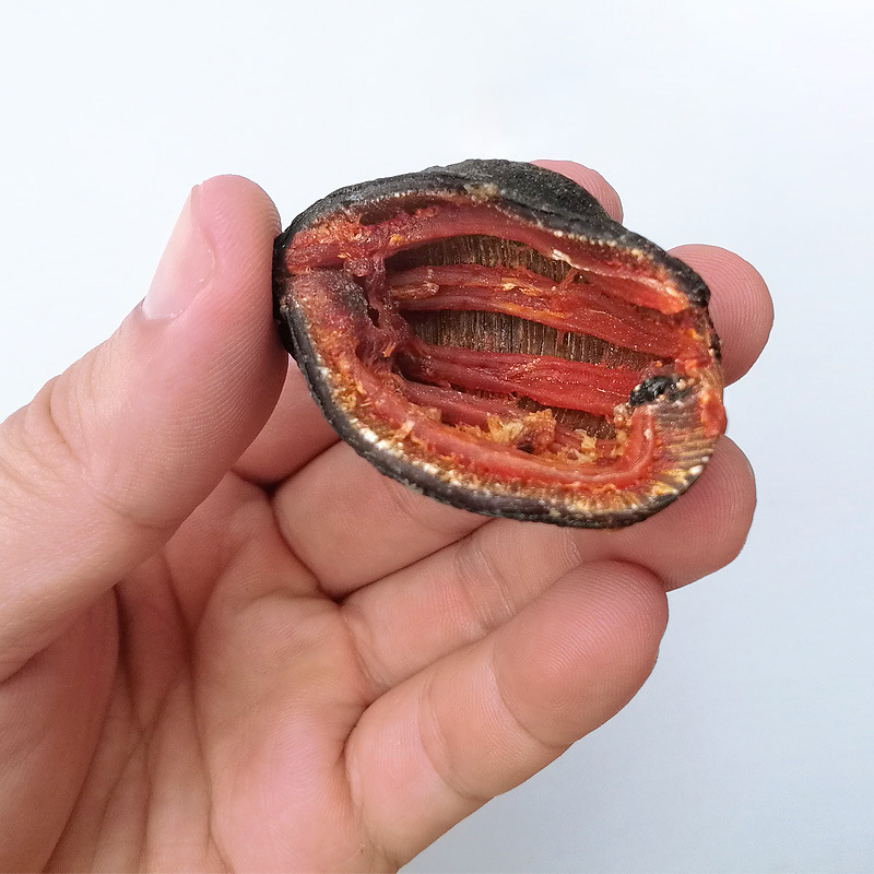 加拿大海参皮淡干冰岛红极参俄罗斯淡干海参皮约35头250g批发