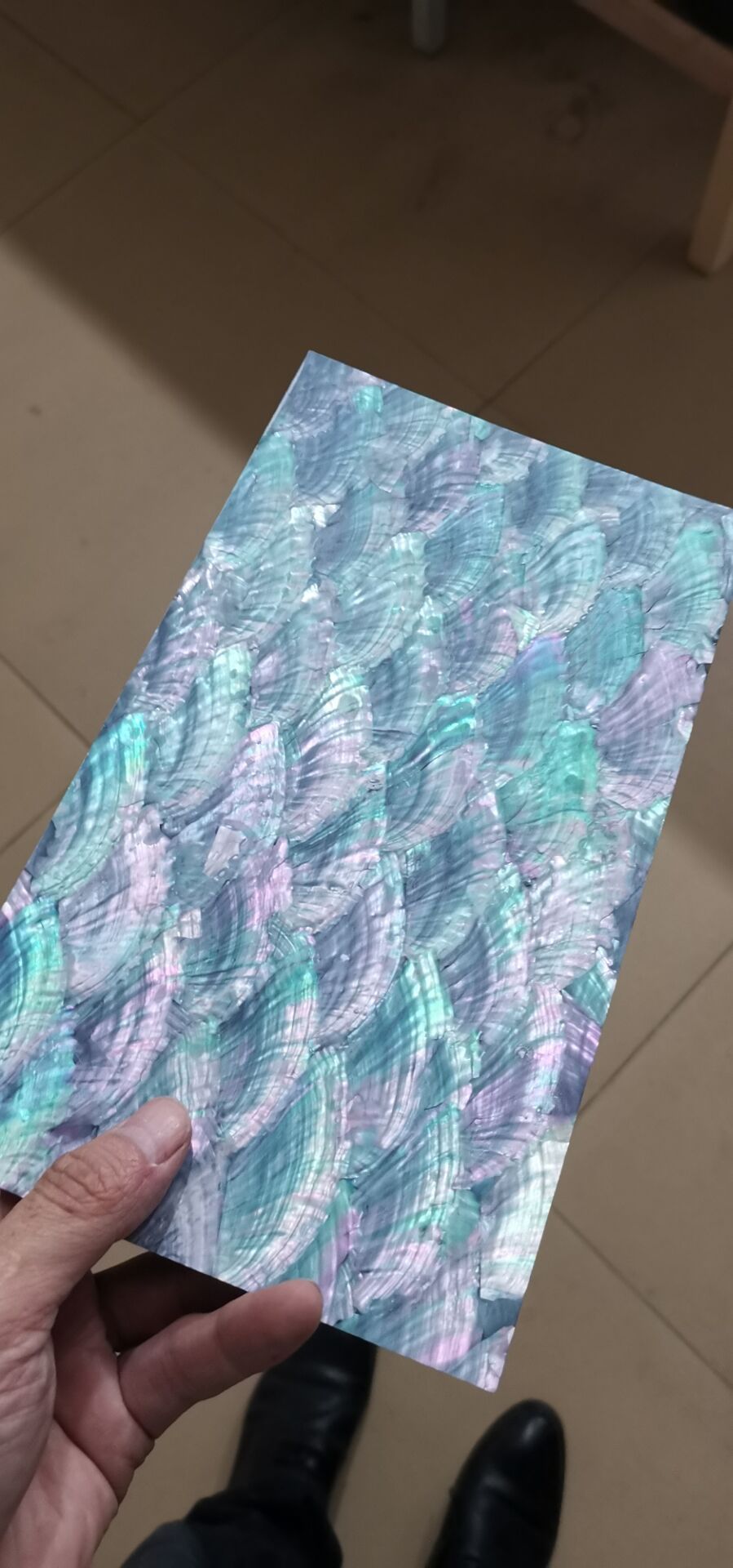 鹿耳贝贝壳纸贝壳片螺钿漆器材料