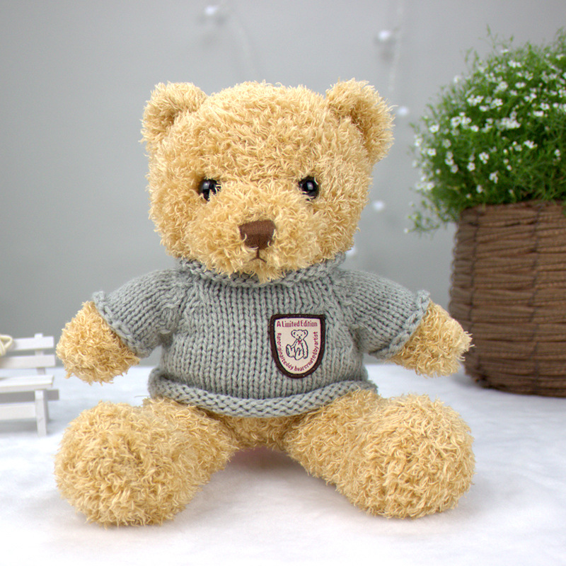 新品儿童礼物泰迪熊公仔 女友礼品可爱t恤海藻绒小熊毛绒玩具