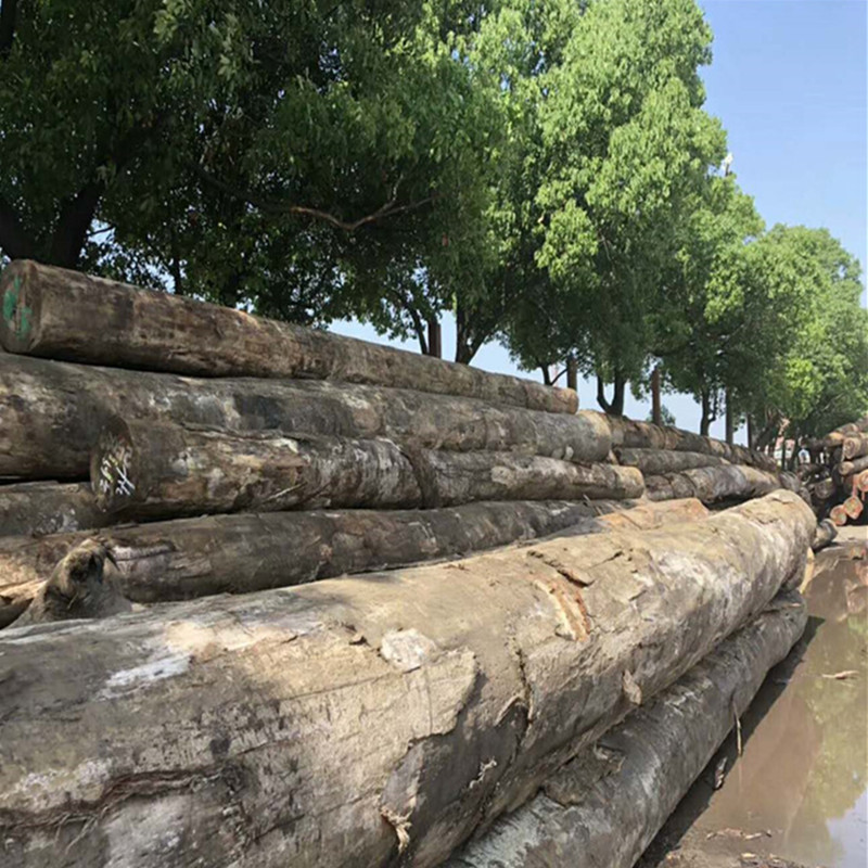 厂家直销红橄榄原木 红橄榄家具材 工程材 花纹美丽性价比高