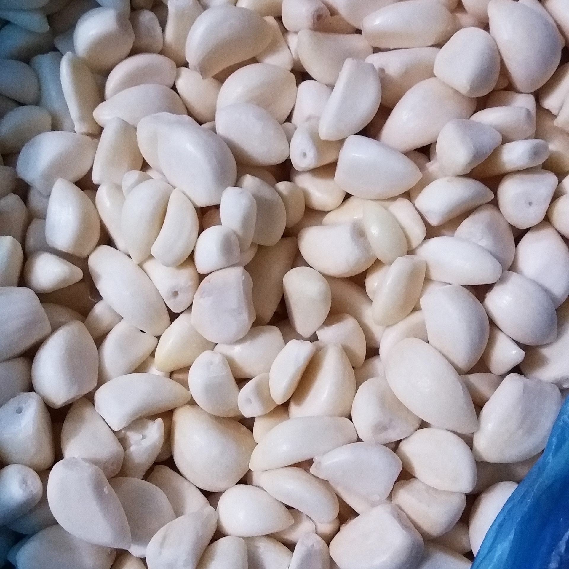 出口内销专供食品加工冷冻速冻蒜米 杂交四六瓣冷冻去皮蒜米-阿里巴巴