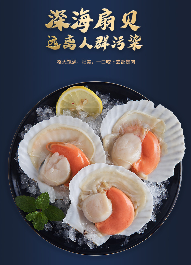 原汁扇贝冷冻半壳扇贝夏夷贝大元贝烧烤火锅海鲜水产冻品批发食材