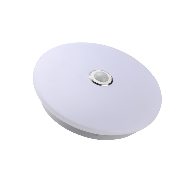 Infrared Human Body Induction Ceiling Lamp HX-12W R01 round Bedroom Light Stair Aisle Nordic Ceiling Lamp