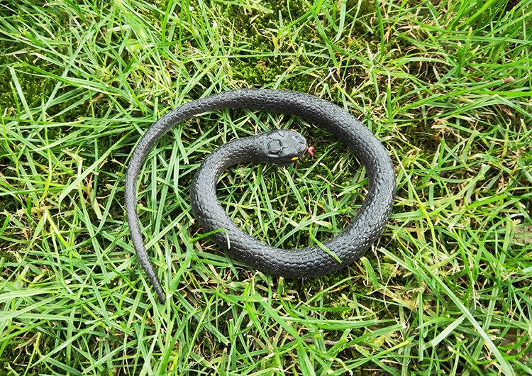 仿真软胶小蛇30cm整人搞怪橡胶蛇儿童仿真软胶蛇假蛇地摊玩具