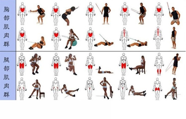 11件套拉力器多功能拉力绳拉力带肌肉训练健身器材套件阻力带批发