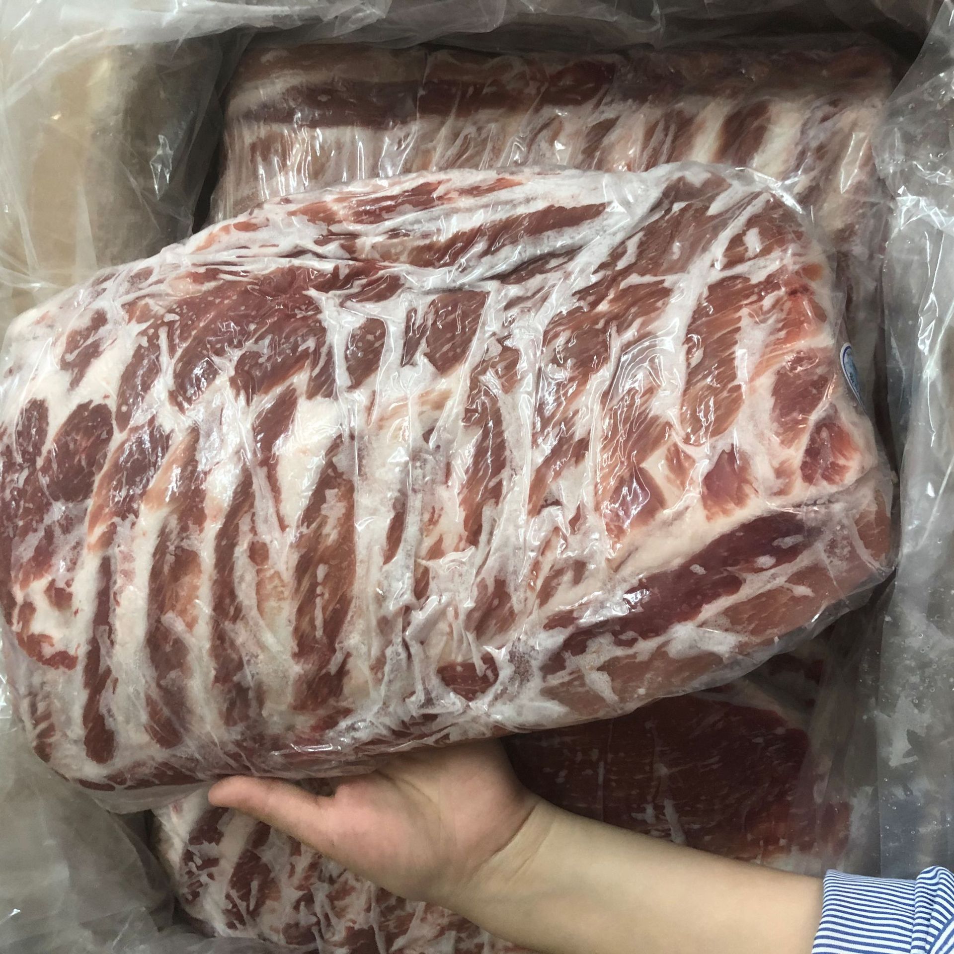 双汇肋排冻猪排骨新鲜猪肉冰鲜冻肉餐饮食材点心烧烤 1箱20斤