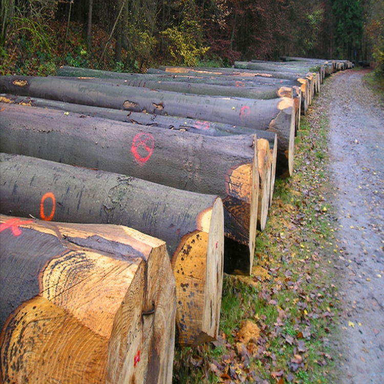 厂家直供美国榉木原木拼板fsc认证大量远销各地规格齐全可定制
