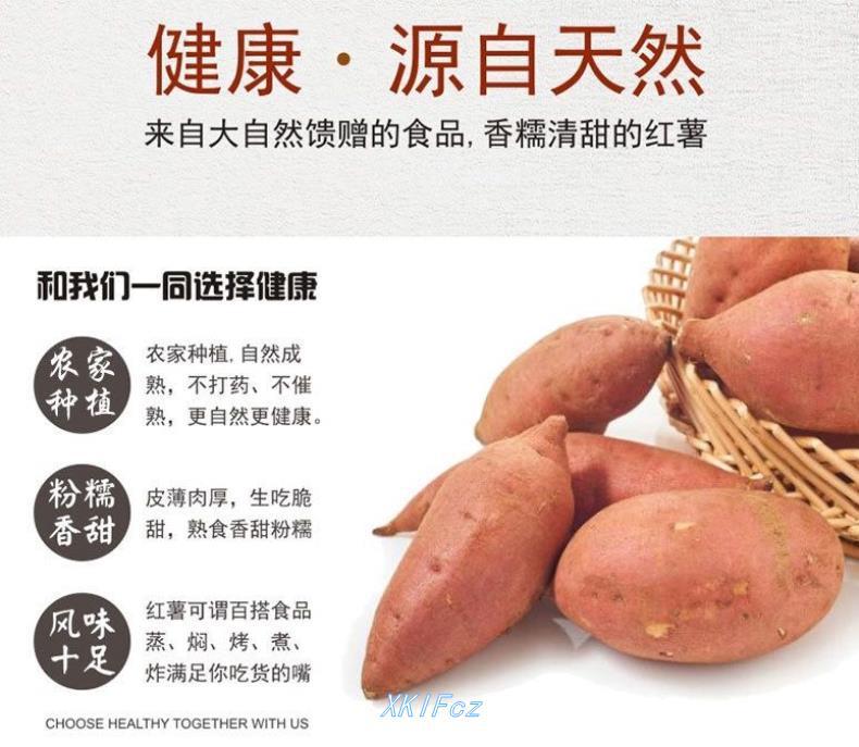 【新鲜红薯】现挖农家黄心黄皮番薯沙地蜜薯山芋地瓜软糯香甜5/10