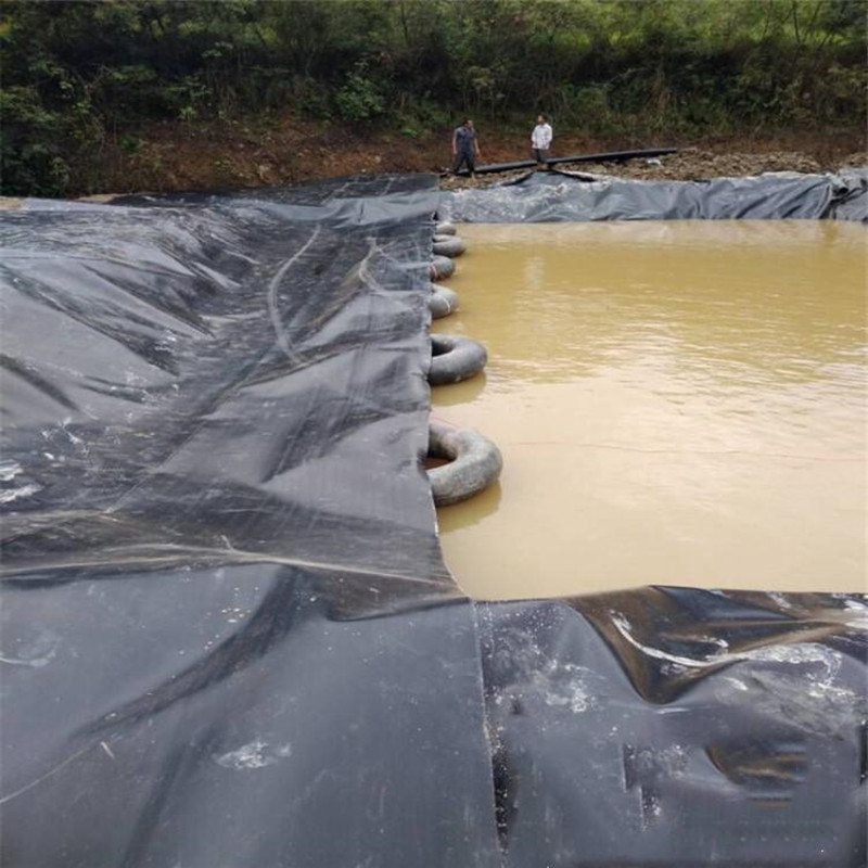 鱼塘防渗膜加厚黑色土工膜池塘荷塘防水布鱼池养殖防逃hdpe薄膜