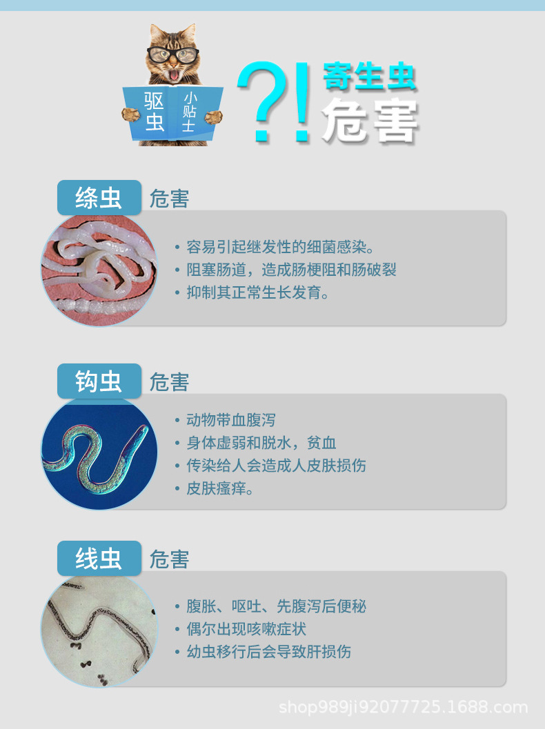 雷米高一粒清芬苯达唑片体内驱虫药蛔虫绦虫线虫钩虫腹泻呕吐宠物