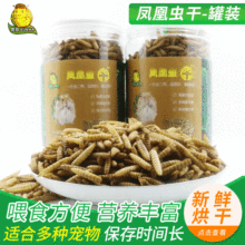 厂家烘干凤凰虫黑色虻罐装宠物饲料 黑水虻刺猬仓鼠零食八哥鸟粮