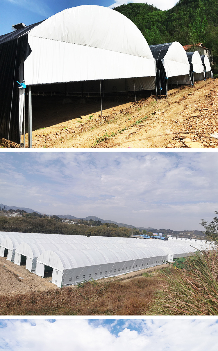 pep利得膜大棚膜黑白膜10丝农场种养殖隔热香菇食用菌抗老化专用