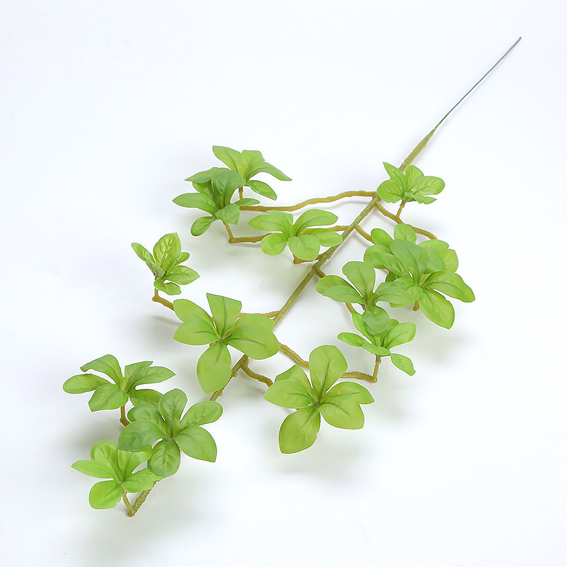 仿真植物假花绿植盆栽装饰叶子树枝树叶单支日本吊钟马醉木七星叶