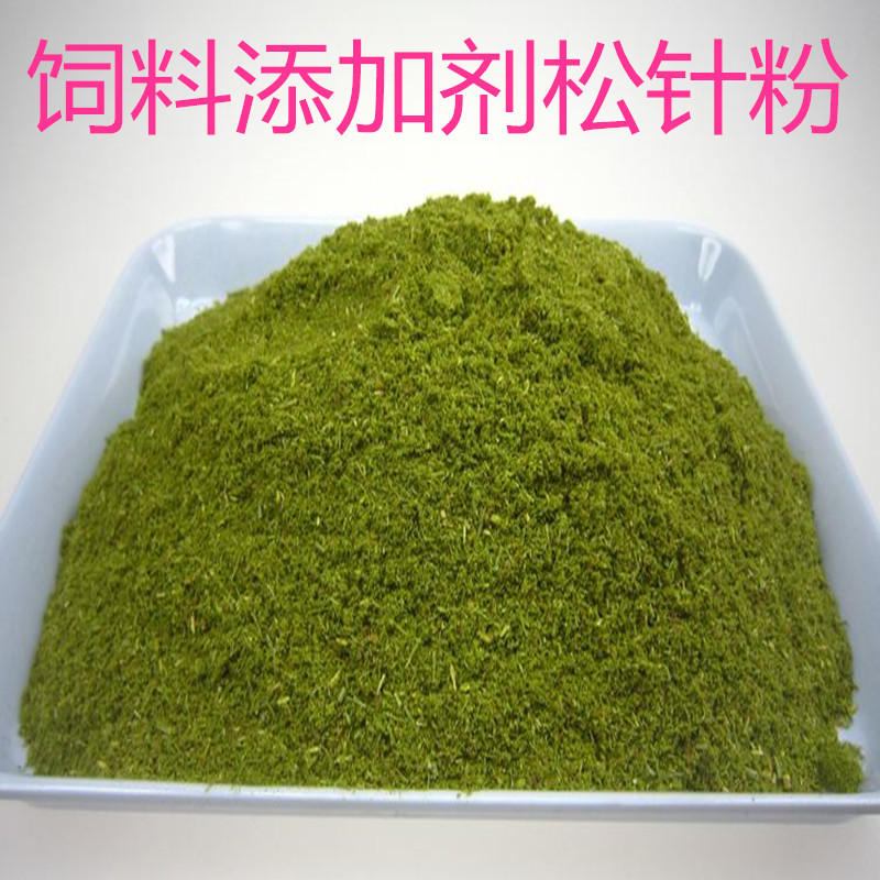 现货供应松针粉饲料级松针粉松枝粉植物松针提取物松针素松针粉