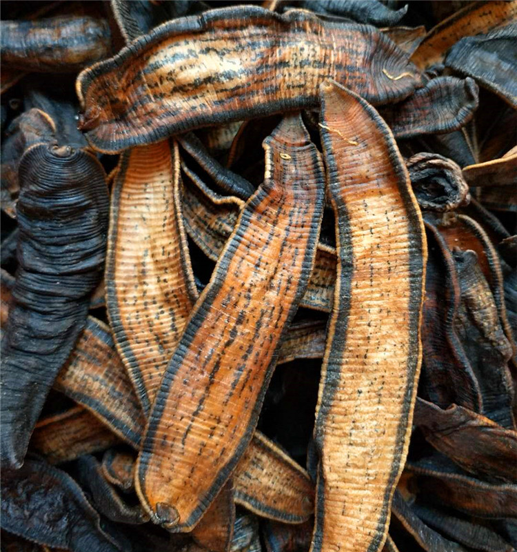 水蛭蚂蟥干100克 清水吊干无凡干货蜈蚣蝎子