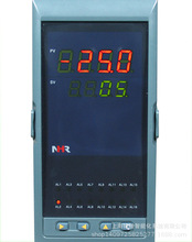 NHR-1100F-27-0/X/P-A数字显显示仪表