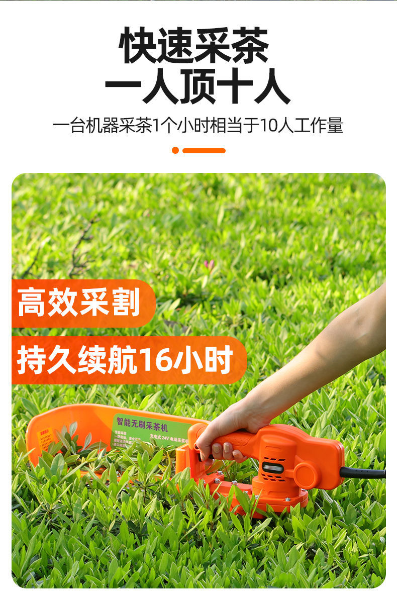 电动采茶机单人小型绿化绿篱机充电剪茶叶茶树修剪机采摘茶机神器
