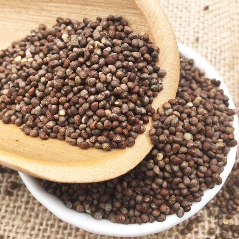 东北生紫苏籽新货紫苏子熟苏子粒烧烤烤肉月饼馅调料白芥子莱菔子