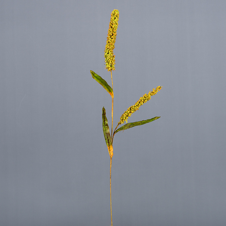 寓意大丰收猫尾谷手工稻谷仿真稻子稻穗装饰家居仿真花艺桌面摆件