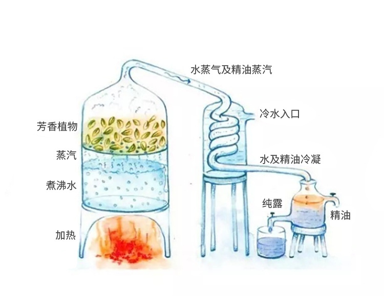 美懿现货 乳香纯露 植物蒸馏液 爽肤水化妆品护肤原料1kg