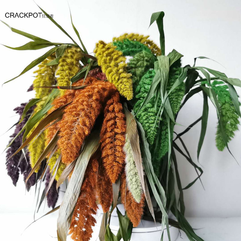 熊尾永生花ins北欧森系家居装饰草花叶材干花束