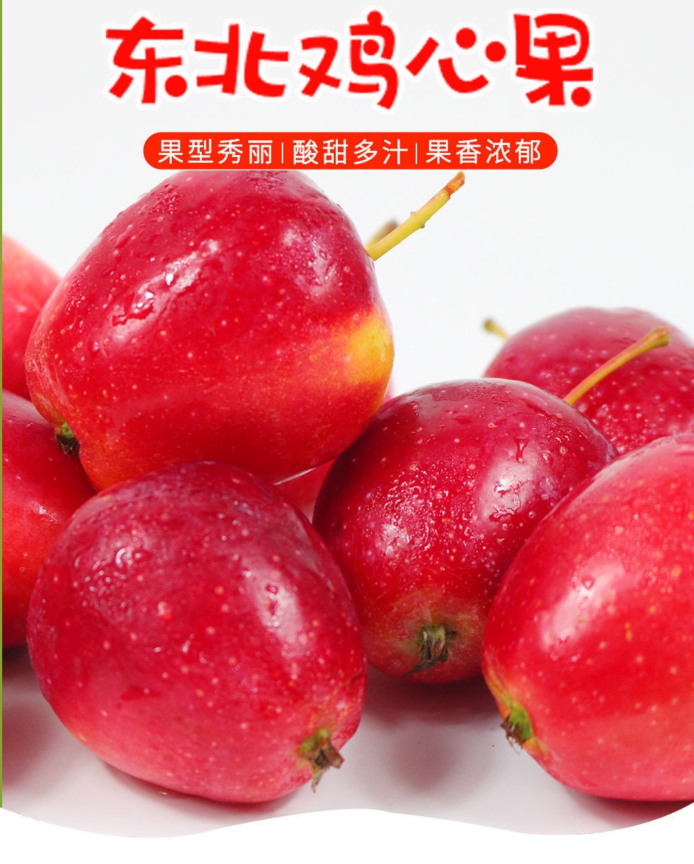 产地直供东北鸡心果2斤-5斤小苹果海棠果沙果红果特产小苹果孕妇