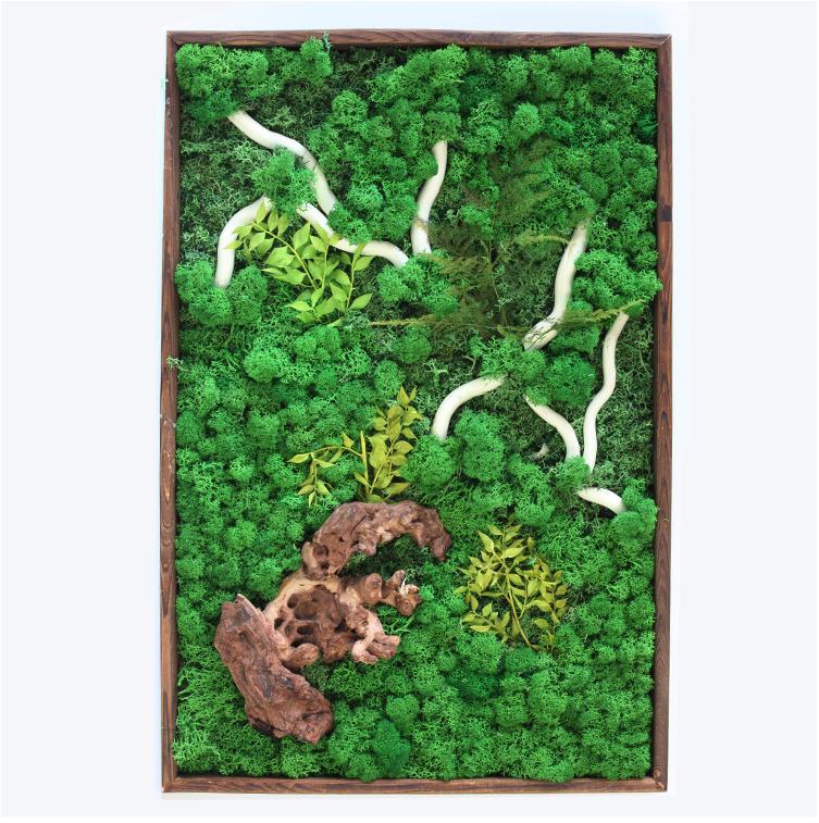 植物相框画 工艺画摆件相框画立体画植墙永生苔藓花画