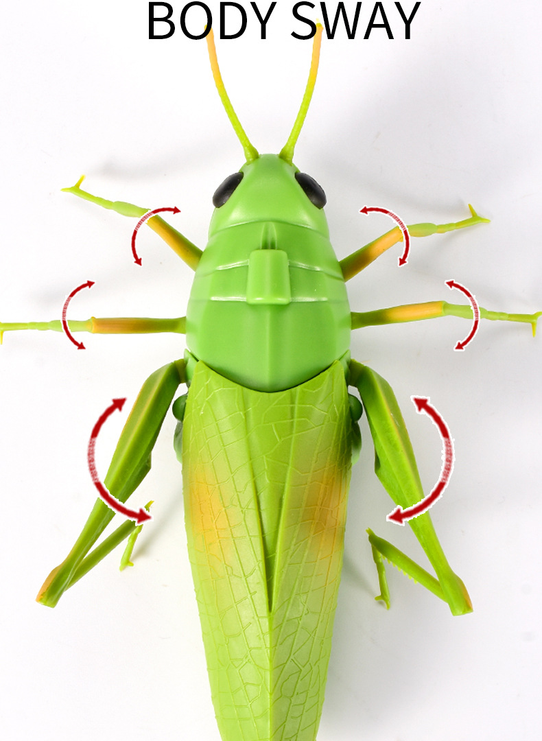 遥控仿真草蜢动物 红外线仿真动物蚂蚱模型新奇电动整蛊恐怖玩具