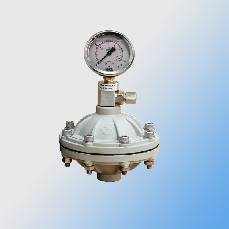 脉冲阻尼器装有压力表,显示工作进程外壳材质为pvc,pp,pvdf,ss304,ss