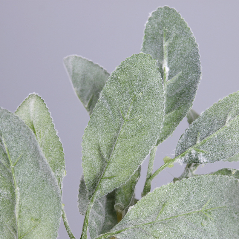 仿真兔耳叶 单支植毛兔耳叶植物墙配材柠檬叶diy插花配件假叶子