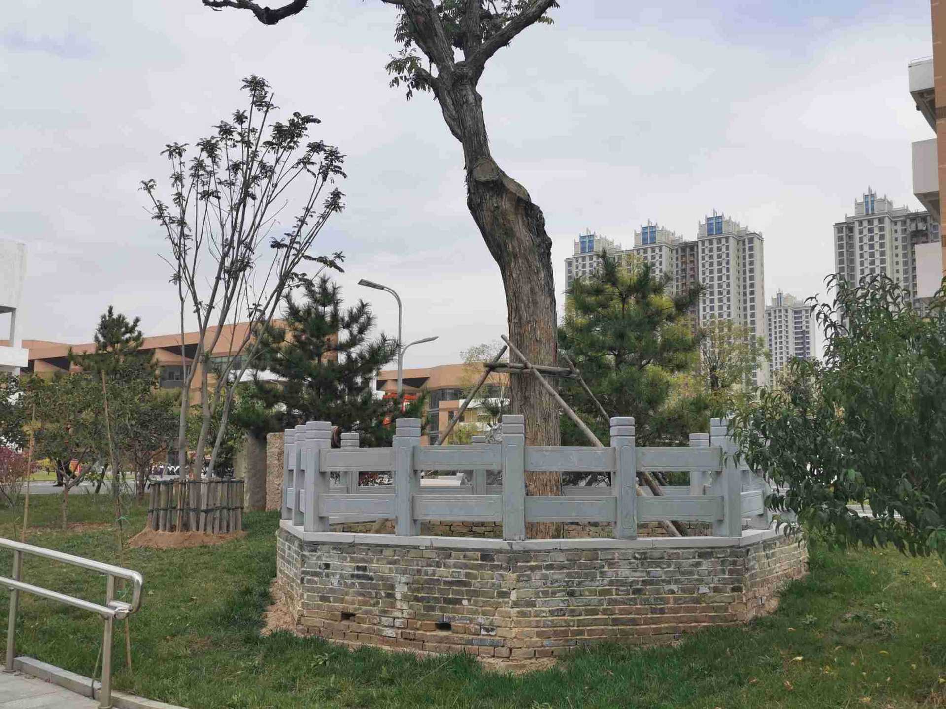 厂家供应古树保护围栏青石栏杆树池护栏各种规格材质的石雕树栏