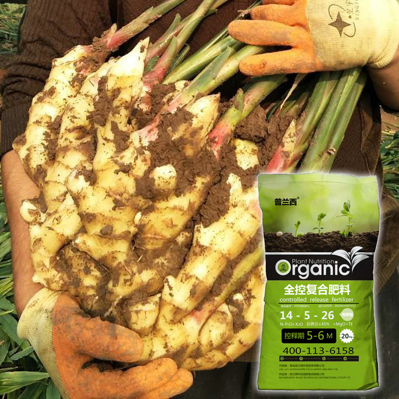 化肥农用 硫酸钾包衣15-15-15全控复合肥 生姜果树花卉专用控释肥
