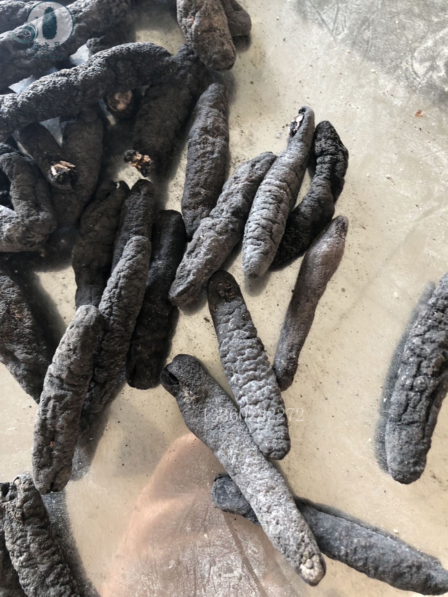 乌参小岛乌参乌条参黑参野生海参干货批发 100头源头货源量大价优