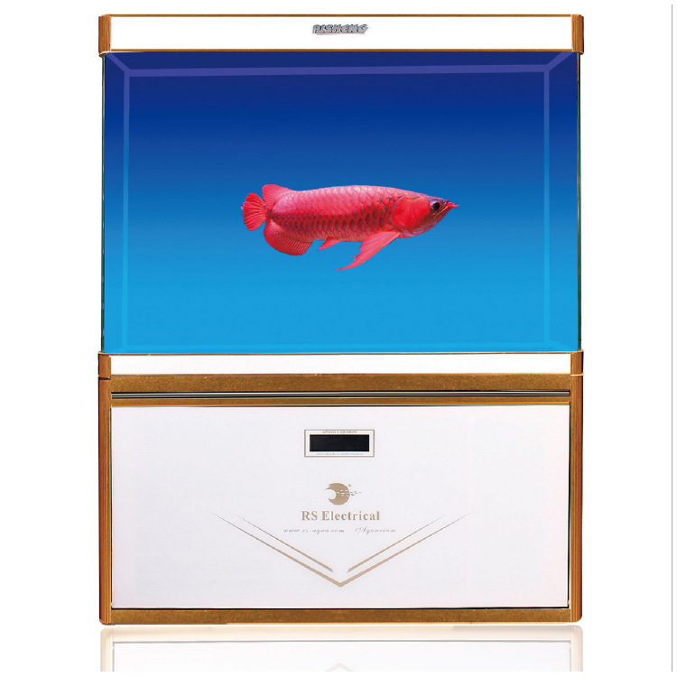 日胜高清玻璃龙鱼底滤缸客厅办公室免换水鱼缸水族箱