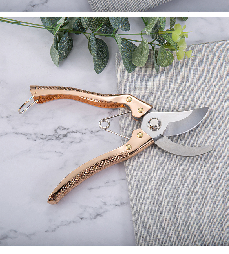 园艺剪刀果树工具剪强力修枝剪粗树枝剪修花剪刀花木修剪园林工具