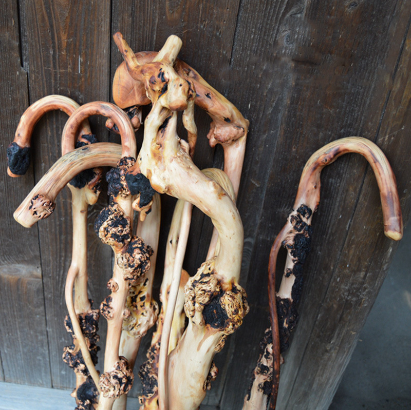 云南复古实木天然黑果木树瘤老人木拐杖防滑手杖木制拐棍藤木寿杖