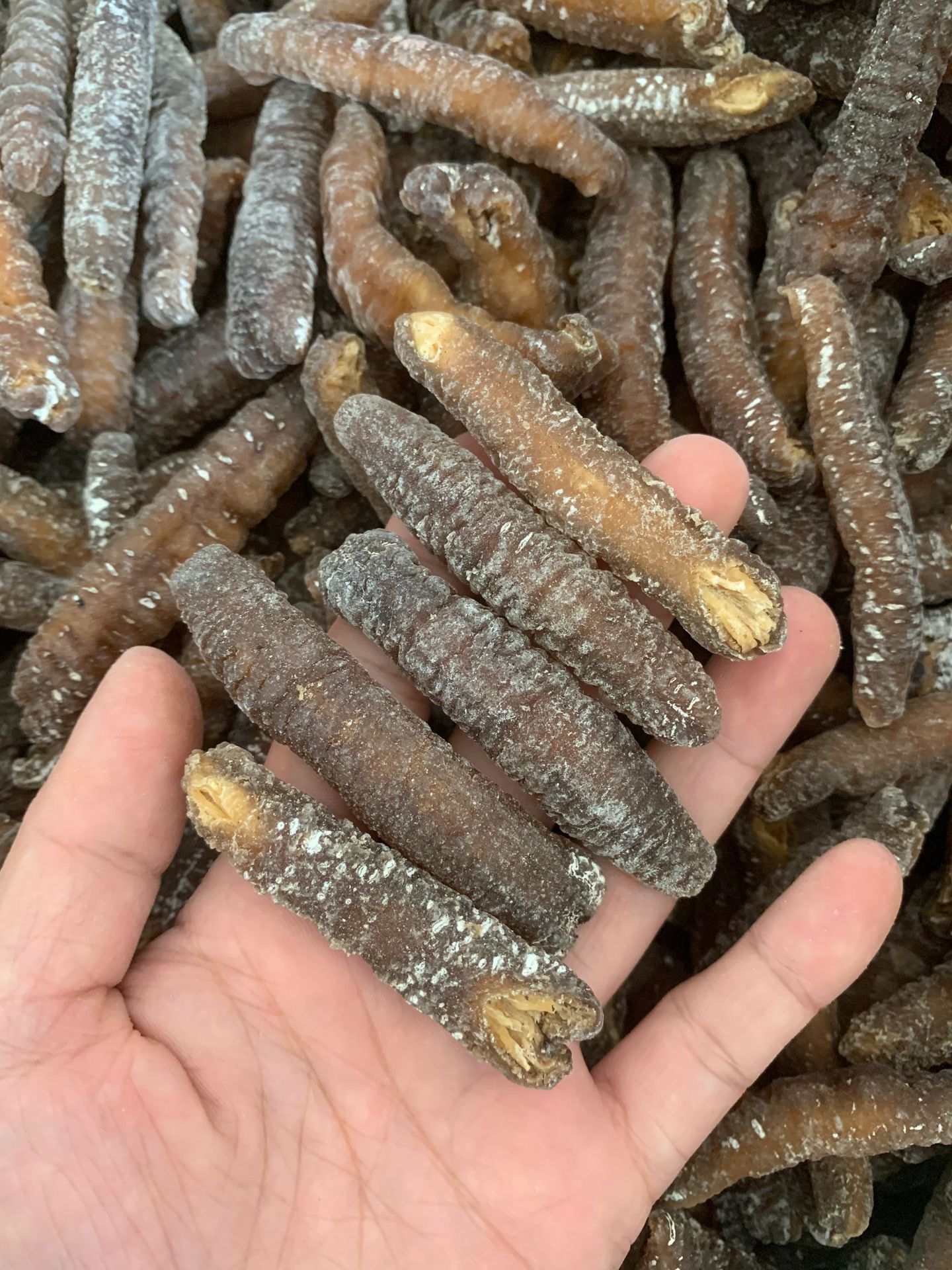 沙秃参深海黄金秃参批发白玉参 淡干海参干货海味特产500g免刷皮