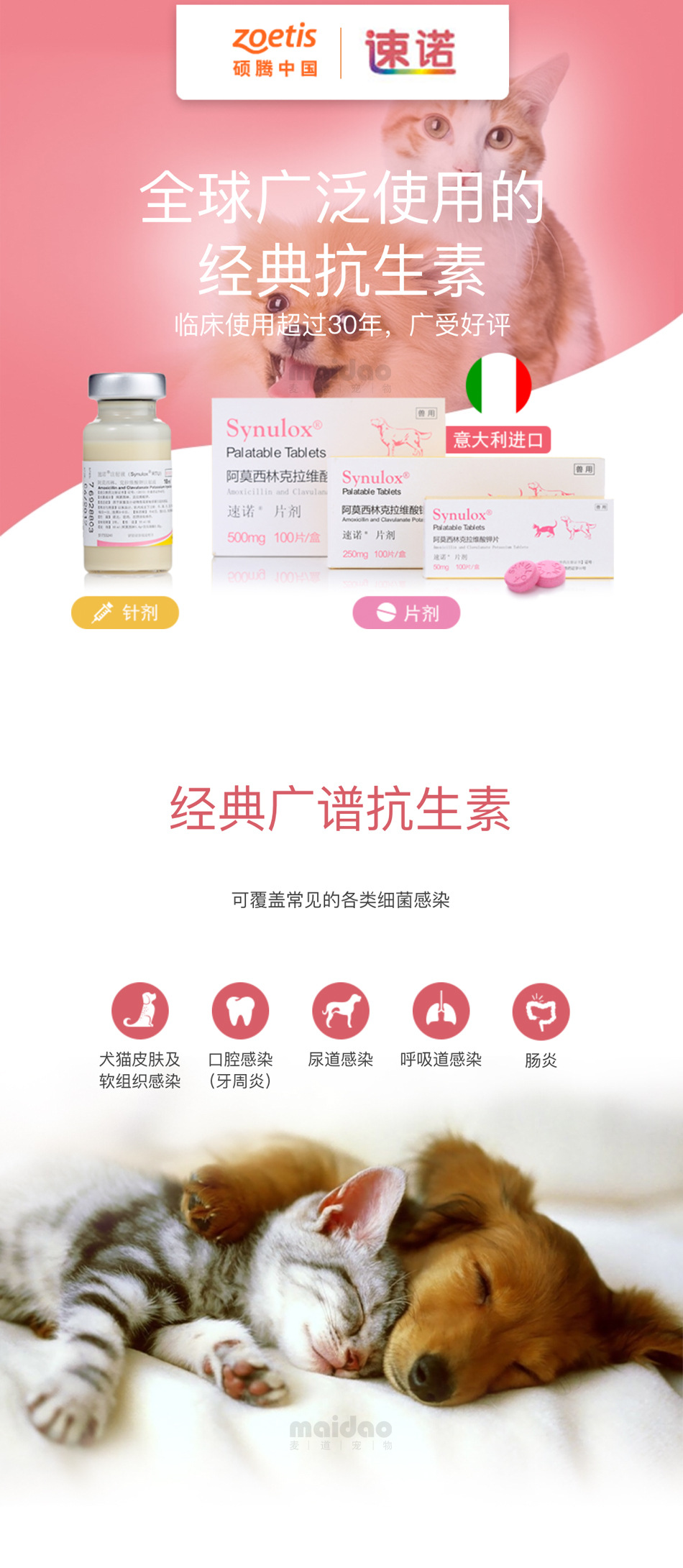美国辉瑞硕腾synulox速诺片剂500mg单片宠物狗猫咪感冒鼻支抗生素