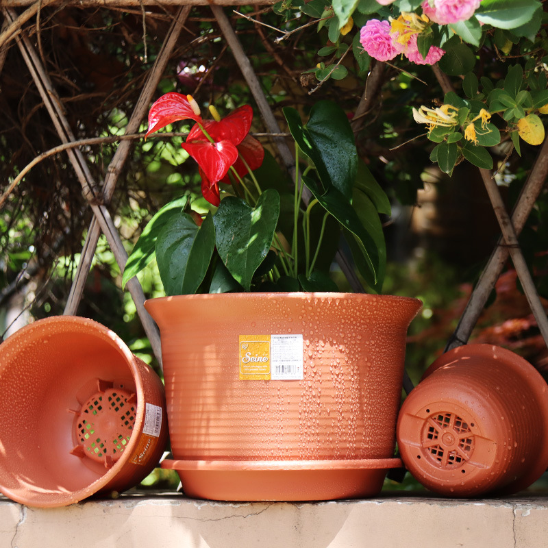 爱丽思中钵花盆阳台养花种植花盆家用花卉盆栽盆树脂塑料花盆