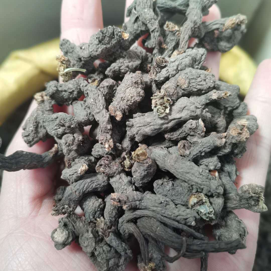 产地货源天葵子 中药材批发天葵子一手货源 实图拍摄支持药检