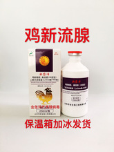 新流腺安卡拉腺疫苗新城疫鸡瘟禽流感疫苗250ml/瓶包冰邮