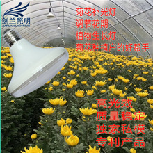 草莓，菊花，葡萄，生长灯，补光灯，用于发芽育苗，调节花期