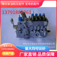 【批发零售】K4100BQ高压油泵  潍坊华丰柴油机配件30年老店