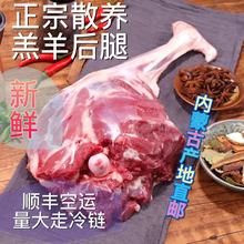 内蒙古特产厂家批发羊腿肉新鲜羊后腿羊肉火锅草原羔羊一件代发