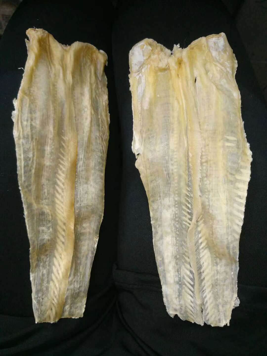 一德路现货批发鱼唇胶 酒店供应鱼唇干货 精选鱼唇10-12头500g