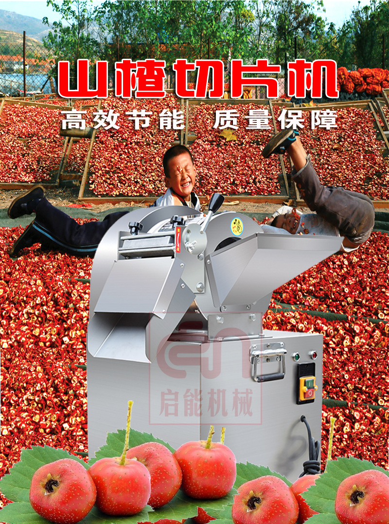 直销新型山楂切片机苹果切片机地瓜红薯切片机山楂切片500公斤