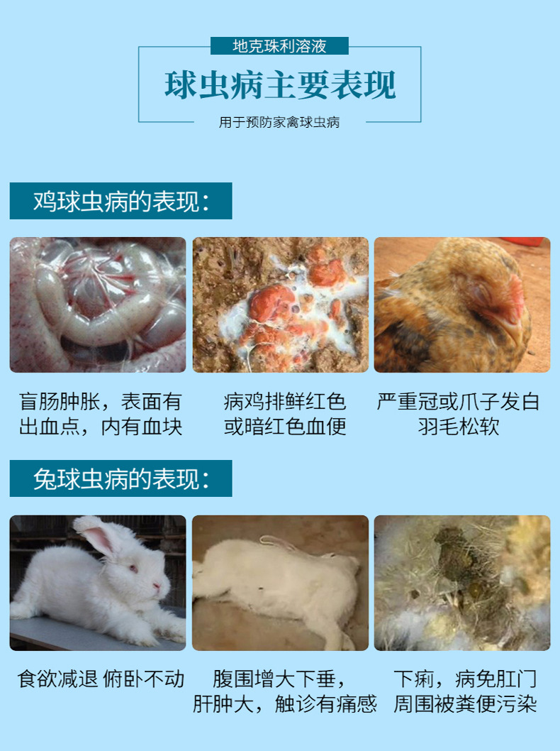 兽药 兽用地克珠利溶液驱球虫药 鸡鸭禽用兔球虫净体内驱虫药包邮