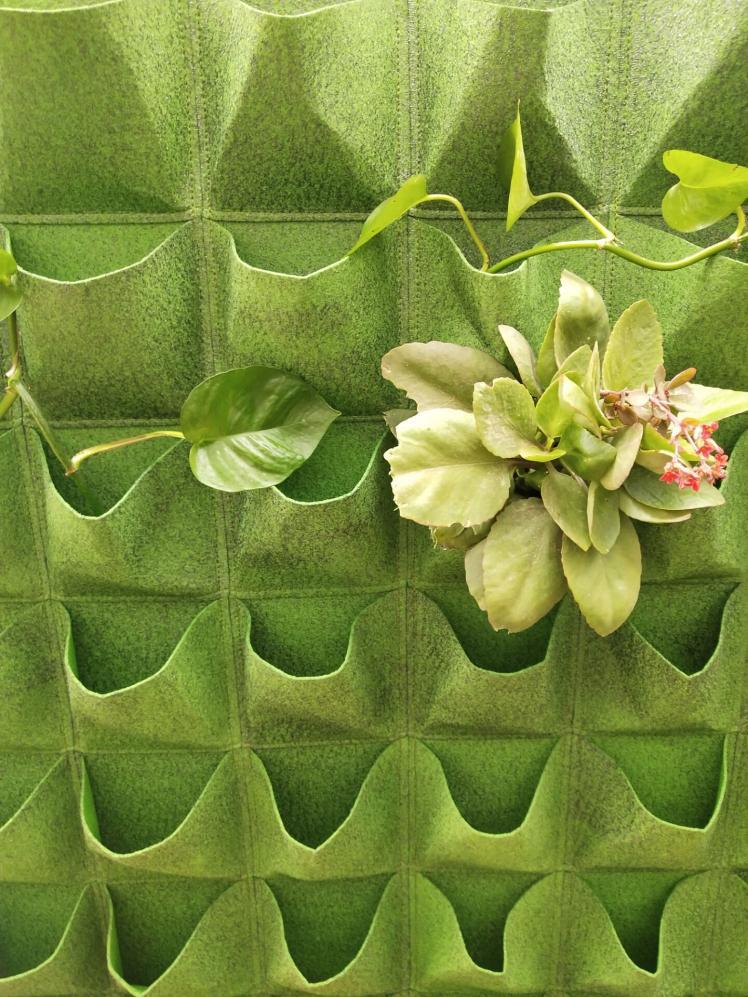 供应毛毡种植袋无纺布立体壁挂式美植袋绿色垂直绿化种植墙花卉袋